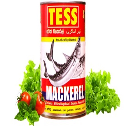 Tess Cannery